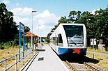 Foto: BR 646 Haltepunkt Stubbenfelde